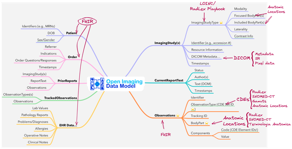 Data Model: Structure and Function